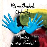 Vibracathedral Orchestra - Tuning To The Rooster